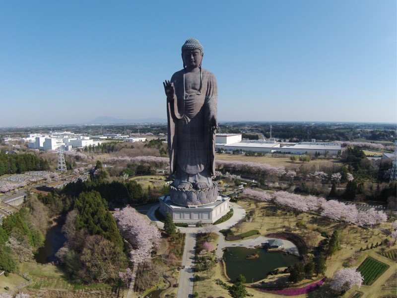 茨城県牛久市の「牛久大仏」地上120ｍ　世界一の大きな大仏様